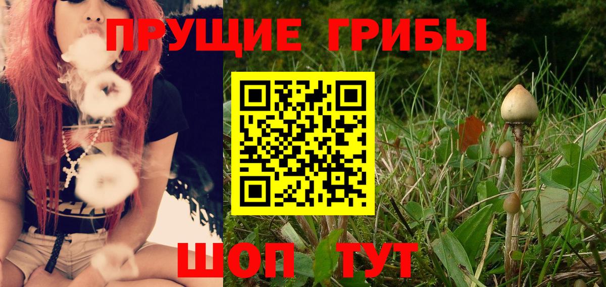 Псилоцибиновые грибы MAGIC MUSHROOMS Феодосия