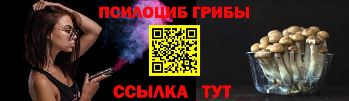Феодосия  Псилоцибиновые грибы прущие грибы  Вход с VPN 